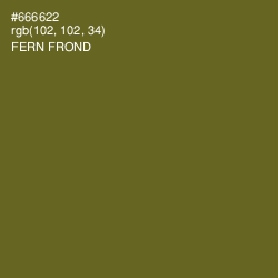 #666622 - Fern Frond Color Image